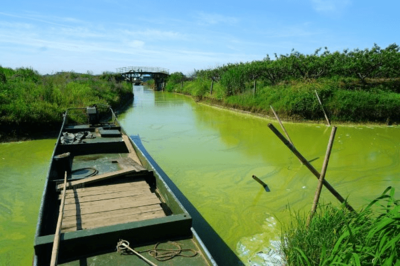 太湖落日，美中不足的遺憾