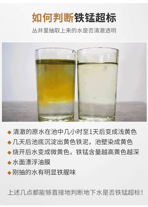 河口過濾泥沙的純凈水設備成本解析與凈源水處理設備廠家概覽